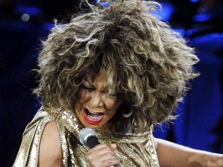 Tina Turner, patrimonio