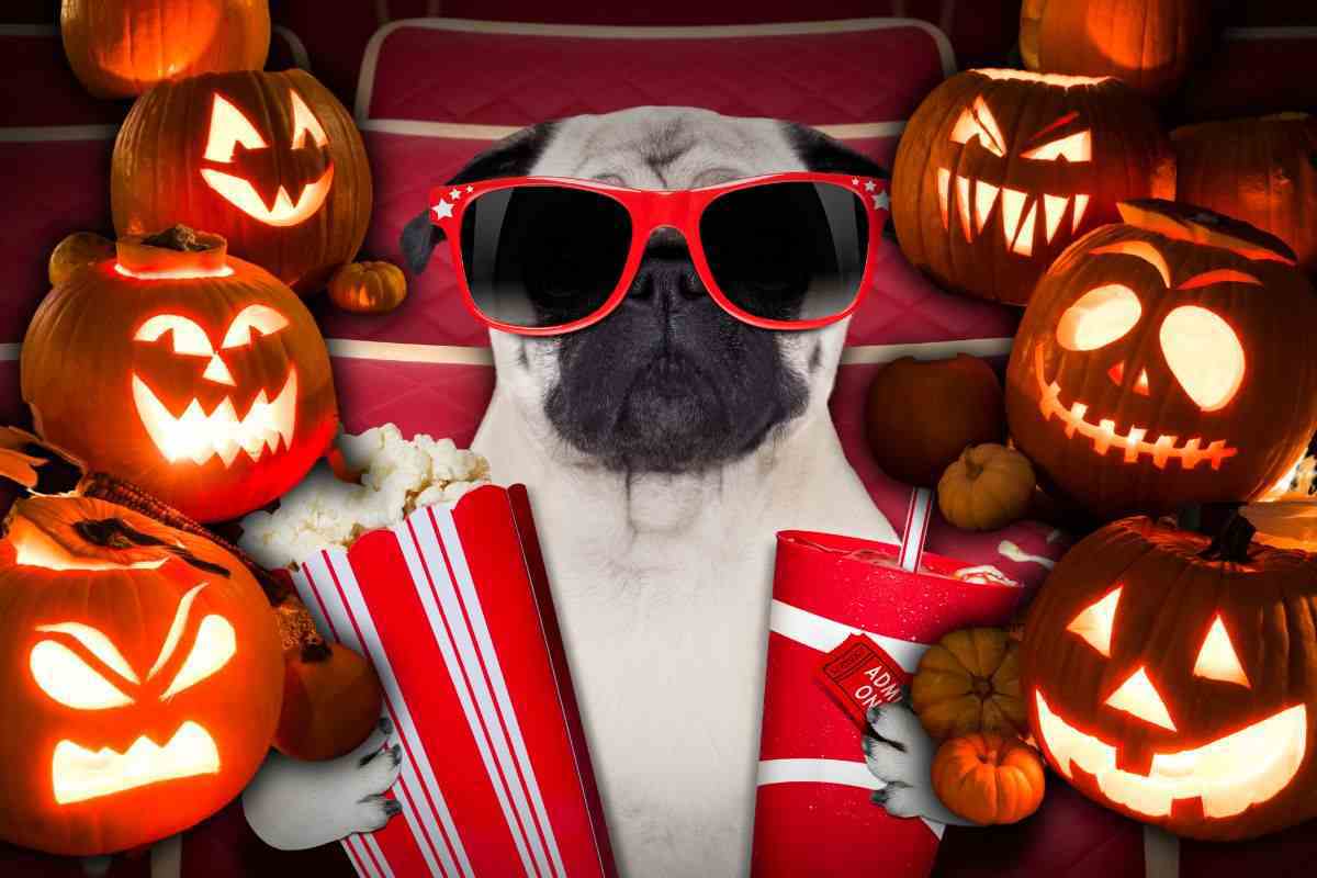 5 horror imperdibili ad Halloween