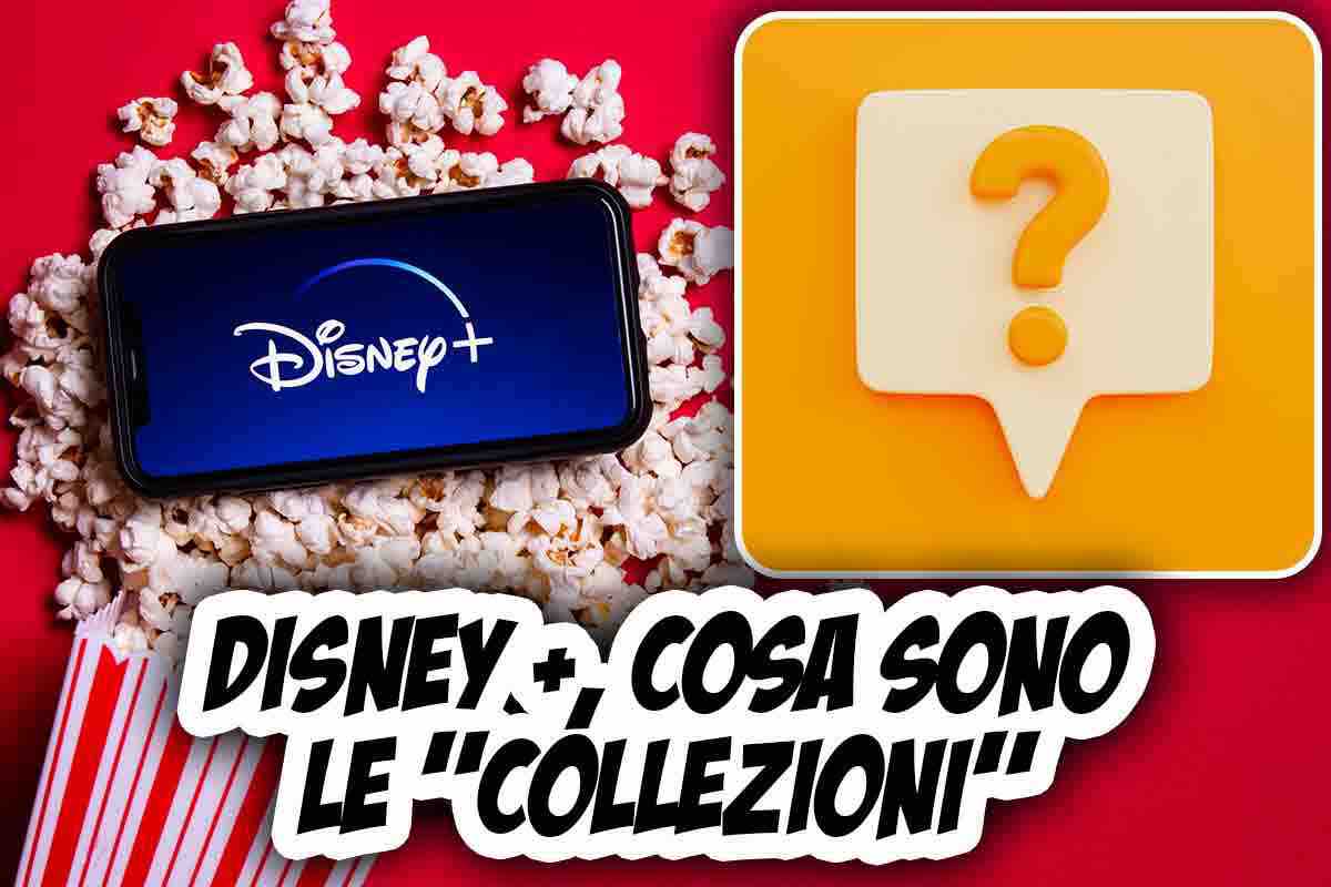 Collezioni di Disney+, tutto quello che c'è da sapere