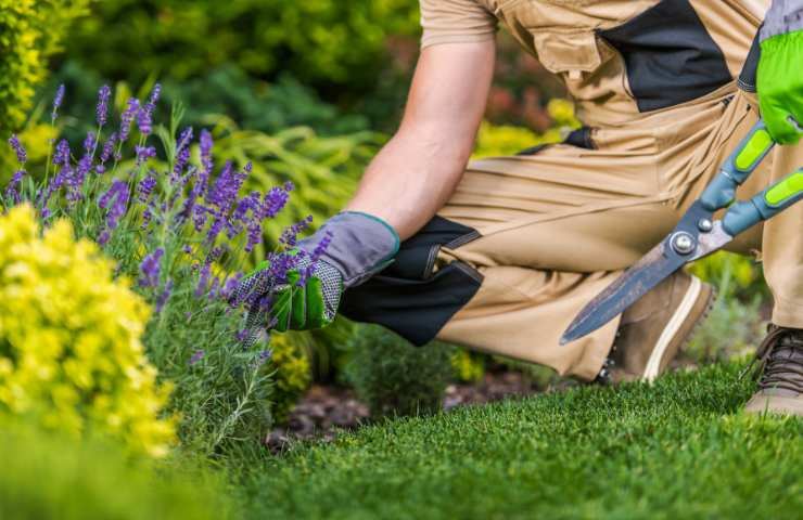 fare giardinaggio per dimagrire