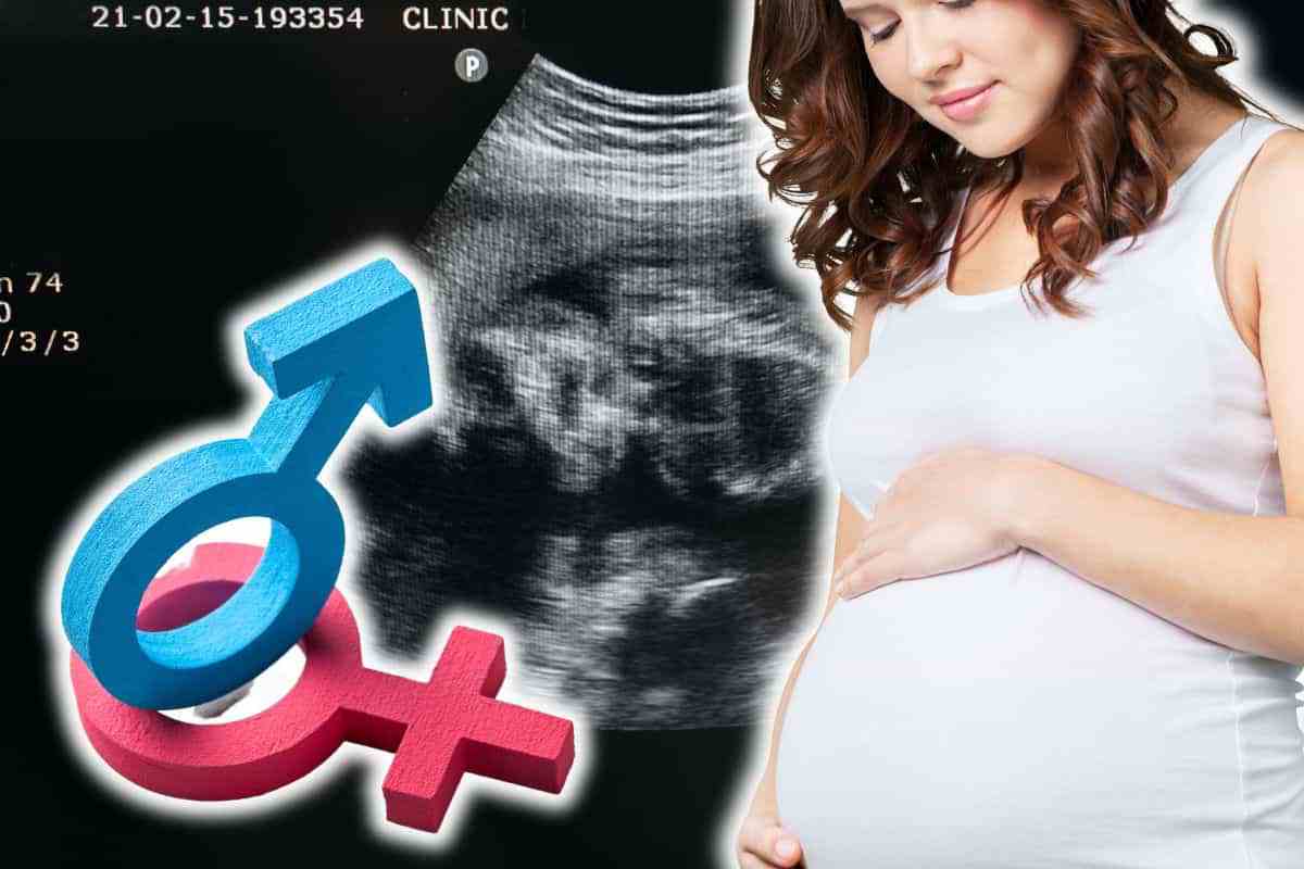 sesso del nascituro in gravidanza